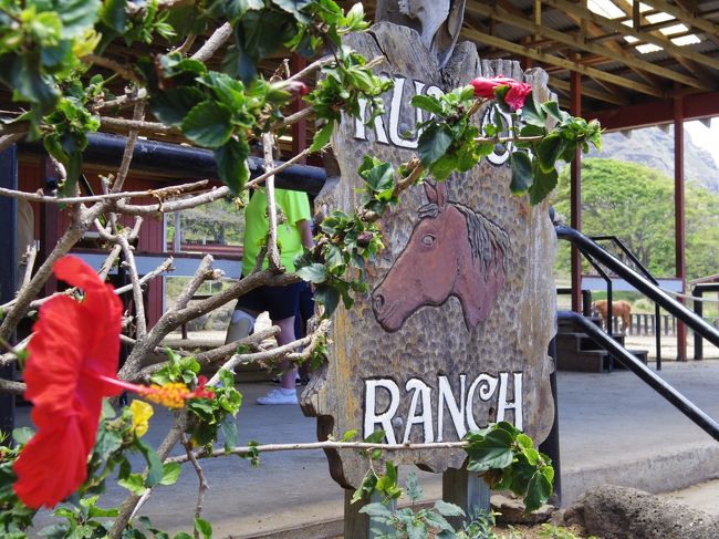 また来ようっと