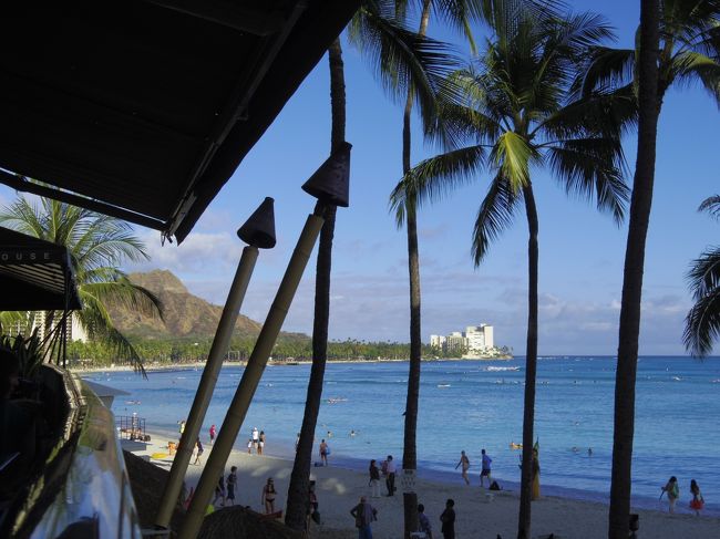 レストランからのこの景色が本当に好きです