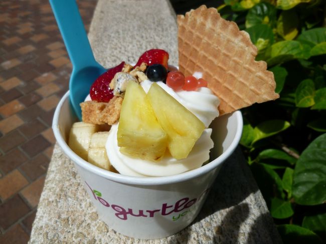 あっと言う間に3日目の朝<br /><br />二日酔いで起きれないという妹を残し<br />朝ごはんの買出し<br /><br />ヨーグルトランドでお好みのトッピング<br /><br /><br />美味しかった！！