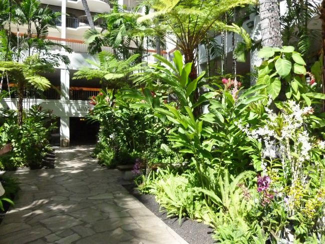 あぁ・・・<br /><br />もう帰る時間<br /><br />ホテルともお別れ