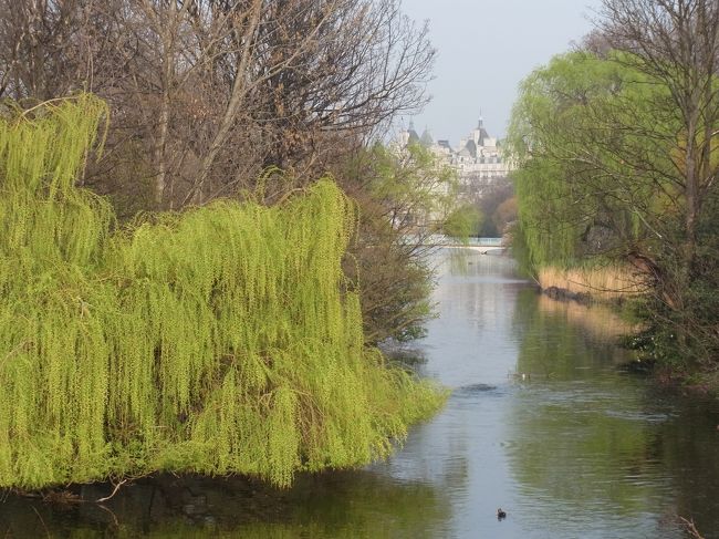 バッキンガム宮殿前まで来て、セント・ジェームズ公園をふりかえる。。。