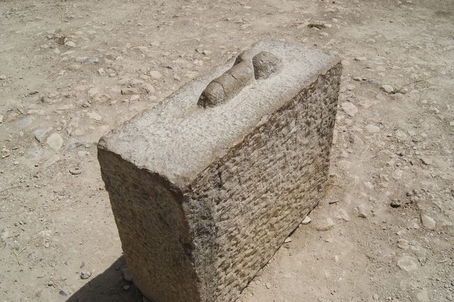 男性の象徴がありました。（あまりにもリアル）