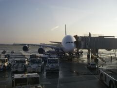 A380型機。正面から見るとなかなかコミカルな顔に見えますが、横から見たときの総2階建ての迫力は凄まじいものです。

帰国してすぐに体調はおさまりましたが、生水は飲まないよう気をつけていたものの氷については油断していました。今後気をつけましょう。トホホ。