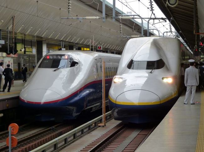 E2系とE4系マックス