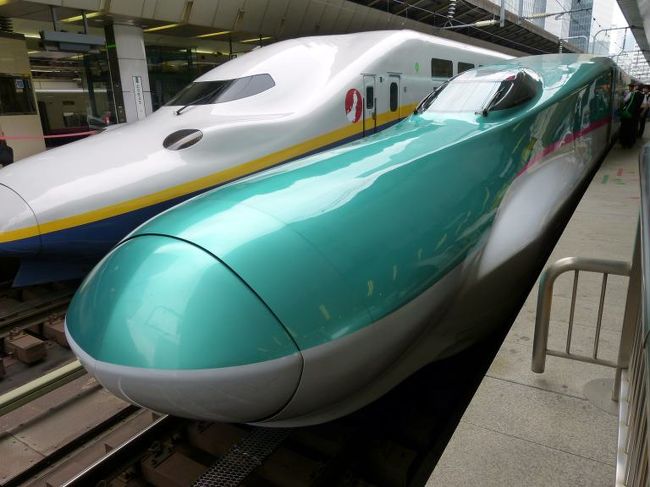 もの凄くインパクトのあるデザインです