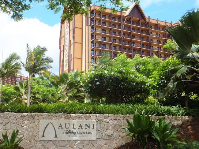 アウラニで購入したキルトです。 アウラニディズニーのおすすめ