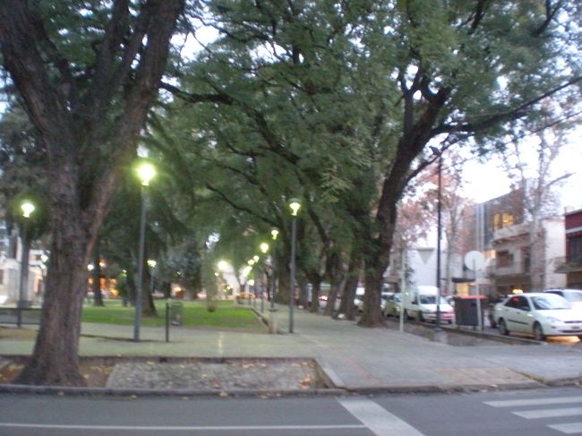 目の前の公園の並木がステキ<br /><br />メンドーサは通りに必ず木が植えてあって、すごくステキな並木道になっている