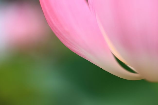 人の少ない内に遠景を撮るのを忘れていたな、と思いつつ移動します。