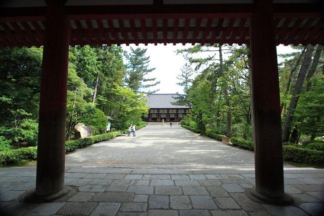 8：30　世界遺産　唐招提寺（とうしょうだいじ）<br /><br />南大門からの望む金堂。<br /><br />8：30〜17：00 <br />大人/600円<br />駐車場　500円 