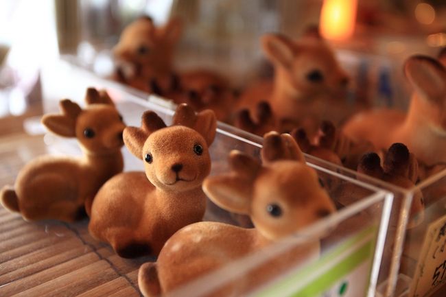 9：40　西の京　みやげ処きとら<br /><br />唐招提寺駐車場のお土産屋さんです。<br />看板には「心をつかむお土産」と書いてあるので店内へ。<br /><br />なるほど、つぶらな瞳に見つめられ心を半づかみ。