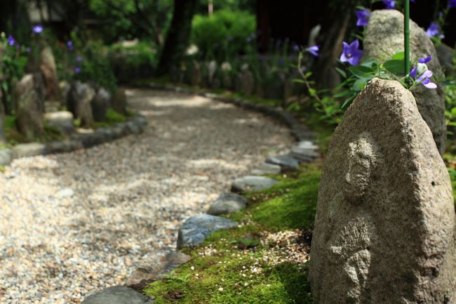 ちょうど見頃を向えたようです。