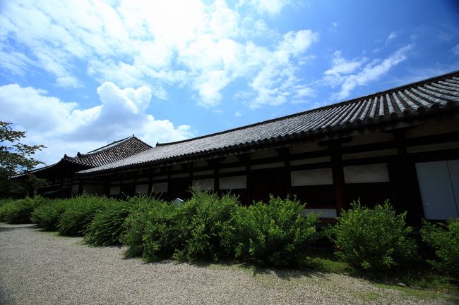 11：00<br /><br />秋になれば萩や彼岸花も見られます。<br /><br />もっとゆっくりしたいけど、例によってお腹がすいて来たのでお昼にします。