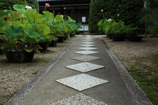 本坊<br /><br />※三脚は使用禁止です。