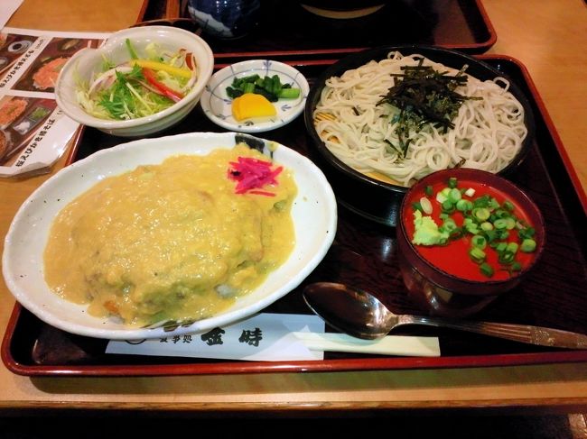 帰りは富士の「金時」でかつ皿