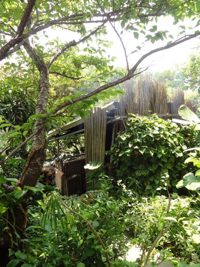 <br /><br />そばはここでつくられたがじゅまるの木からできる<br />灰を使って作られているそう。<br /><br /><br />煙がモクモク立ちこめてました。