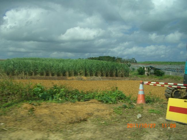 サトウキビ畑です。<br /><br />広がっています。