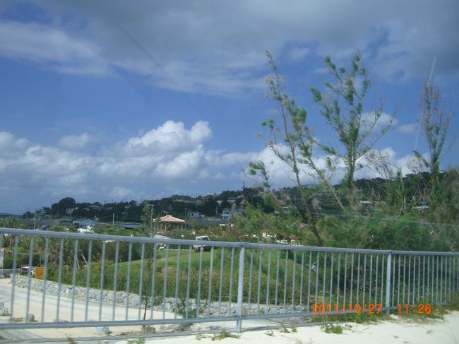 島に到着です。ここでは、くだものの栽培がされています。<br /><br />すごく自然のまま。<br /><br />