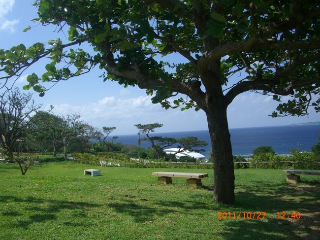 美ら海水族館の駐車場からの移動中の景色。