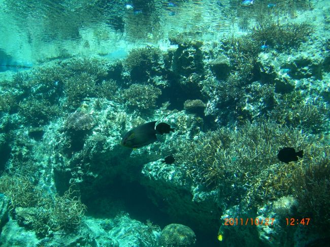 ここから、水族館のお気に入り！