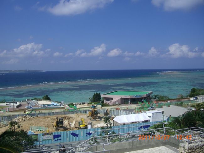 建物から海に向かって撮りました。