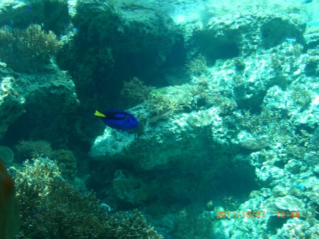 海底の様でしょう。