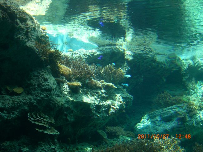 何とも言えない色をしている。