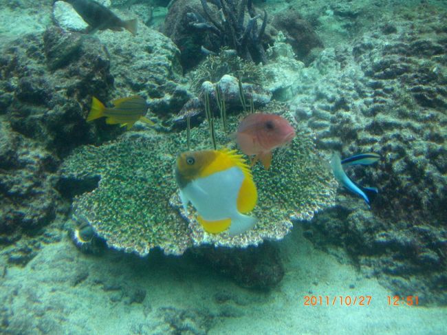 可愛い〜。癒される〜！