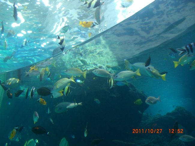 来てよかった。と思いました。<br /><br />迫力あります。