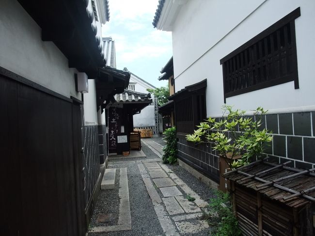 こちらの路地は敷石と緑がアクセント。<br /><br />先にみえる暖簾の字も一役かって・・<br />