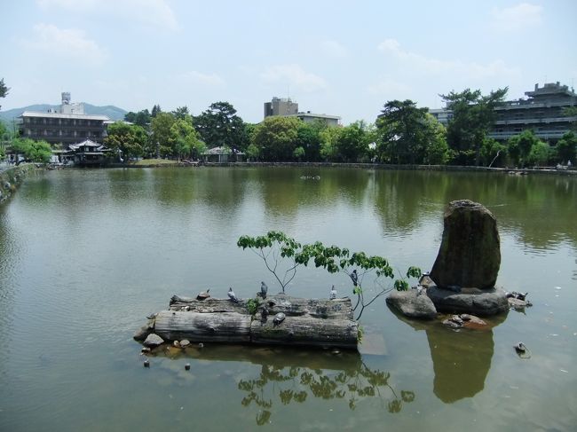 奈良公園に行く途中にあった池。