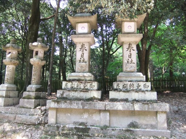 春日大社にあった灯篭。