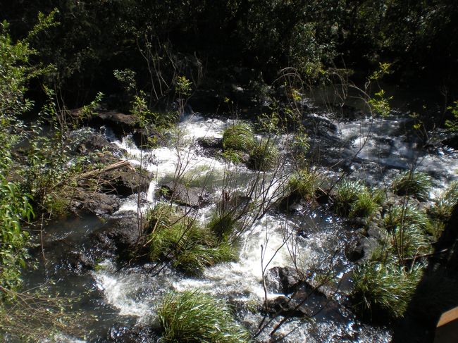 こんなに静かな流れもあります