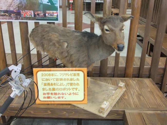 剥製のシカさん。