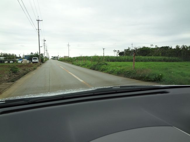 しっかり朝食を頂いたら、<br />さっそくお出かけです！<br /><br />本日は、美ら海水族館を目指します。<br /><br />娘も夜しっかり眠ったからか、<br />超ご機嫌で出発！！<br /><br />ホテルの周辺は、<br />サトウキビ畑が広がっていて、<br />なんだかワクワク、探検隊になった気分です。（笑）<br />