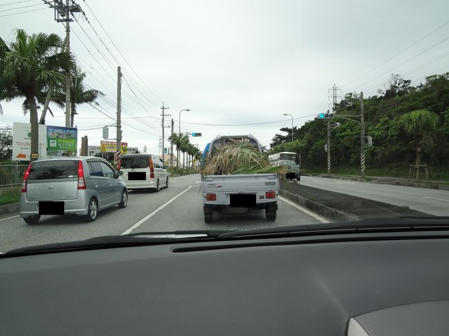 ちょうどサトウキビの収穫時期だった様で、<br />こういった軽トラをよく見かけました〜。<br /><br />沖縄ならではの風景、ですね！