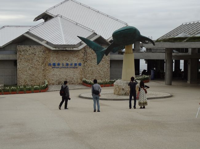 腹ごしらえが済んだことだし、<br />いよいよ美ら海水族館へ参りま〜す！<br />と･･･。<br /><br />「私はお腹空いたのよ〜！！」<br />とベビーカーの中から訴えるような視線･･･。<br /><br />まずは美ら海水族館の授乳室へ参りま〜す！<br /><br />美ら海水族館の授乳室は、<br />カーテンの仕切りとか無くて、<br />他のママと共同利用だったのですが、<br />金沢から来たママとお話が盛り上がり･･･。<br />他の場所でも、「授乳室での出会い（？）」は<br />結構ありました。<br />ママならではの旅の出会いってやつですね。（笑）