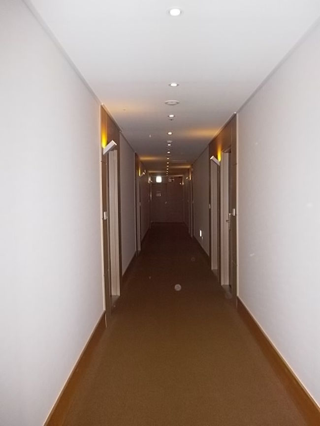 フラッシュ撮影のため明るくなってしまいましたが、実際は暖色ライトがほのかに照る素敵な雰囲気の廊下です。<br /><br />一番端の部屋でしたが、真ん中にエレベーターがあるのであまり遠く感じなかったです。横にはそんなに広くないしね。