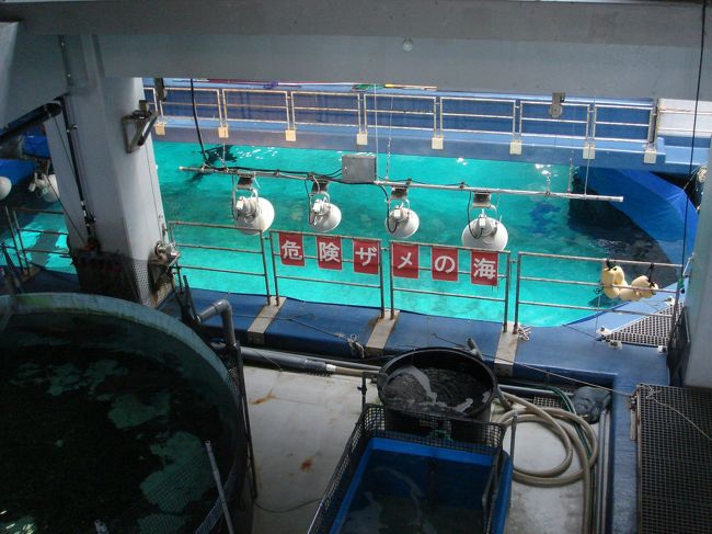 エレベーターを降りて、<br />大水槽へ向かうとまず目にするのが、<br />”危険ザメの海”の看板･･･。<br /><br />怖いよぅ〜！！