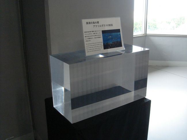 大水槽のガラス、<br />こんなに分厚いんですね。<br /><br />何も考えずに、<br />ガラス越しにお魚達を見てましたけど。。<br /><br />こういう技術あっての水族館なんですね！