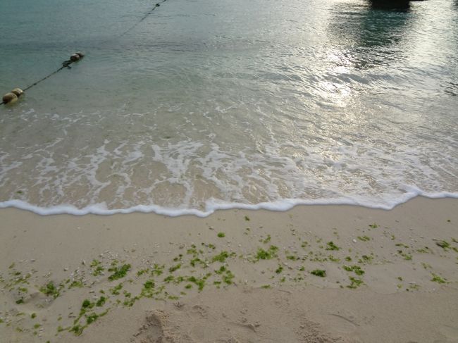 娘は初めての海に興味津々。<br />波がザバーンと押しては引く様子を、<br />飽きることなく見つめてます。