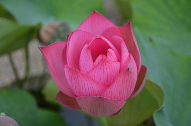 こちらの色は少し濃い目です