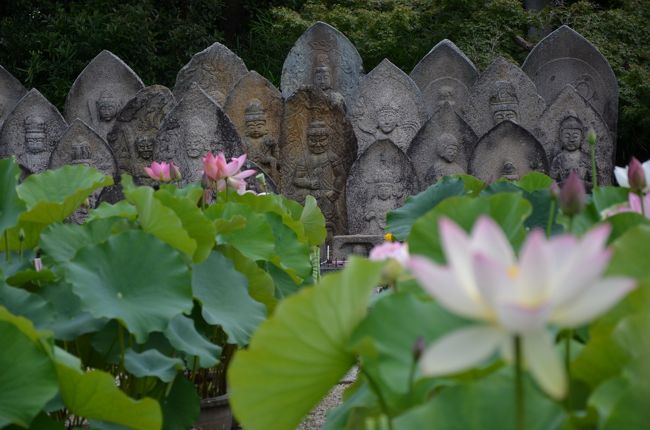 真ん中に不動明王が・・・。