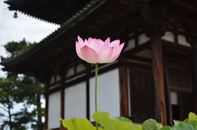 本堂を背景に。