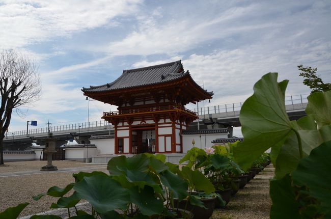 山門の後ろは阪奈道路や第２阪奈道路へ繋がる道。高架になっているので景観を損ねていますね。車にとっては便利になりましたが・・・。