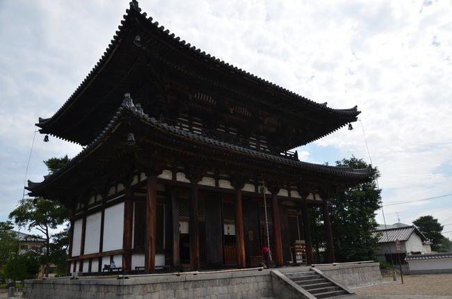 本堂。お寺に来て花だけ写真に撮って帰るには心許ないので、お賽銭を入れてちゃんとお参りしました。