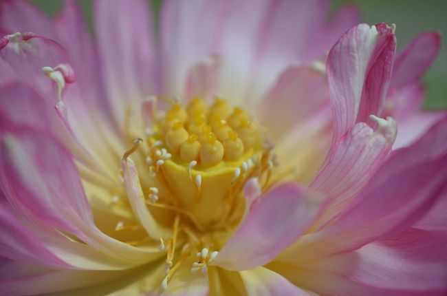 もっと近づいて・・・。