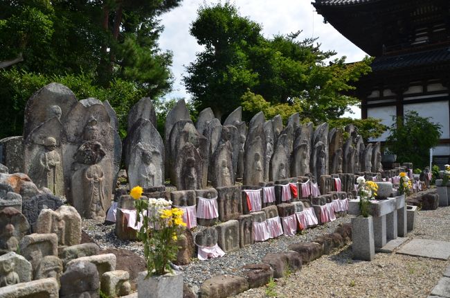 お地蔵さんが沢山並んでいます。