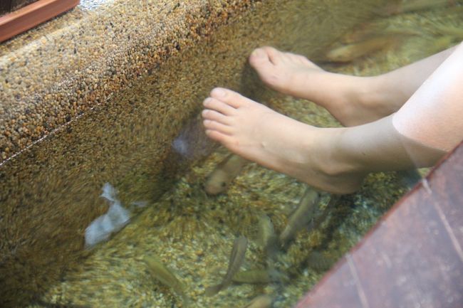 morinokaze<br /><br />フィッシュ・スパです。思ったよりも魚が大きい場所に入ってしまい、結構怖かった。<br />入る前に魚の大きさを確認しましょう。