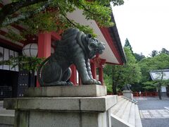 清少納言が『枕草子』にも記した「九十九折参道」は、その名が示す通りくねくね坂道。

そこを登り切れば、本殿金堂へとたどり着きます。

一気に登ると、さわやかな気候とは云え汗が噴き出て来ました。

金堂を守るのは阿吽の虎。

鞍馬寺では、虎の他にムカデも守り神なのだそうです。

鞍馬寺博物館「鞍馬山霊宝殿」を見学。

１階は自然科学博物館となっており、鞍馬山の動植物や地質などについて詳しく解説していました。

２階は寺宝展観室と、与謝野記念室。

与謝野晶子の書斎「冬柏亭」が境内に移築されたのを記念し、遺品などを展示しています。

冬柏亭は博物館の前にありました。

そして３階は仏像奉安室。

国宝の木造毘沙門天立像・木造吉祥天立像・木造善膩師童子立像などを安置しています。