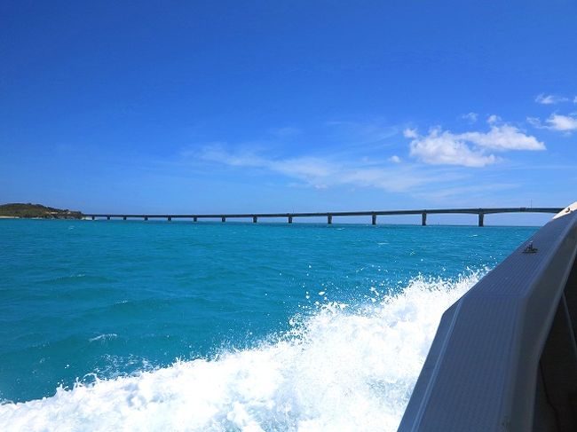 池間大橋の下をくぐって外洋に出ます。